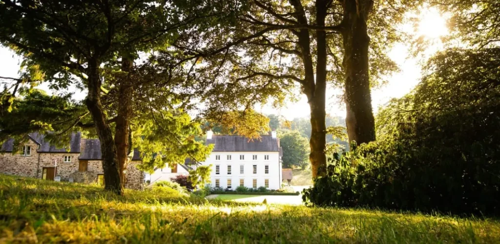 A white Georgian manor house glimpsed through mature oak trees in golden evening light, with a manicured lawn in the foreground
