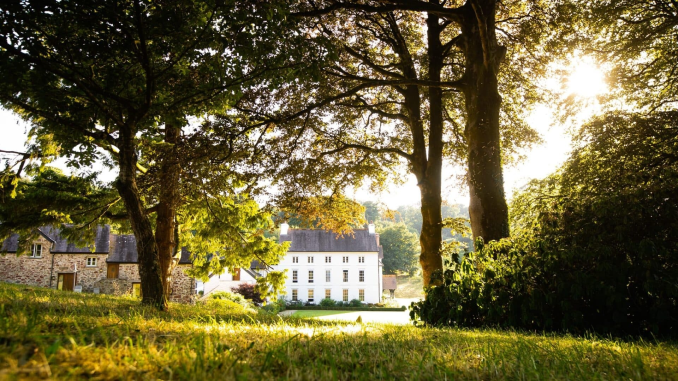 A white Georgian manor house glimpsed through mature oak trees in golden evening light, with a manicured lawn in the foreground